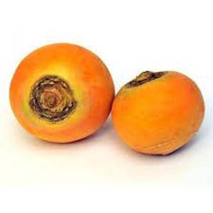 NAVET BOULE D OR BIO