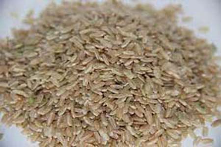RIZ DE CAMARGUE IGP LONG COMPLET CAMARGUE VRAC