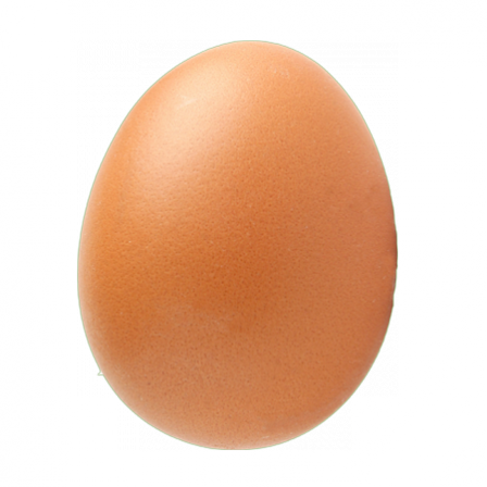 OEUF FRAIS X 1