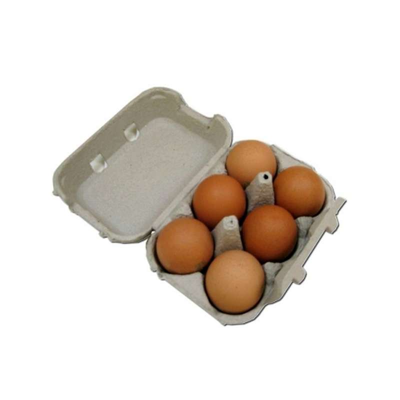 OEUF FRAIS X  6