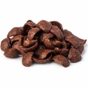 CHOCOLUNE VRAC BIO