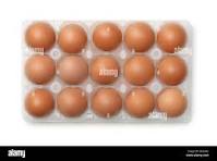 OEUF FRAIS X 15