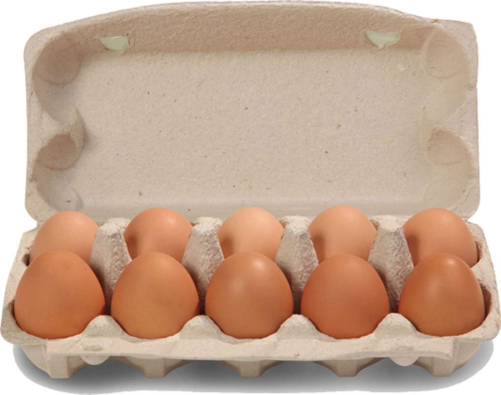 OEUF FRAIS X 10